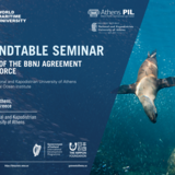 BBNJ Roundtable Seminar in recognition of the BBNJ Agreement Entering Into Force 16 January 2026